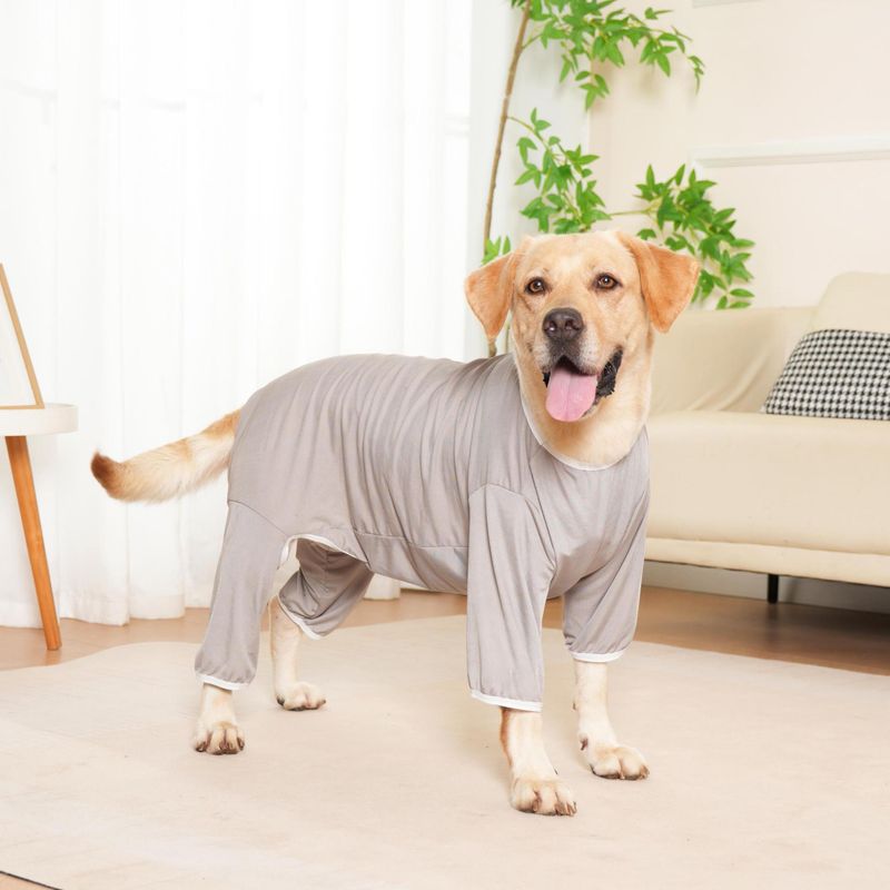 Abbigliamento per cani di grossa taglia, estivo e primaverile, fresco, a quattro zampe, per tutte le stagioni, universale, per Border Collie_voghion.com