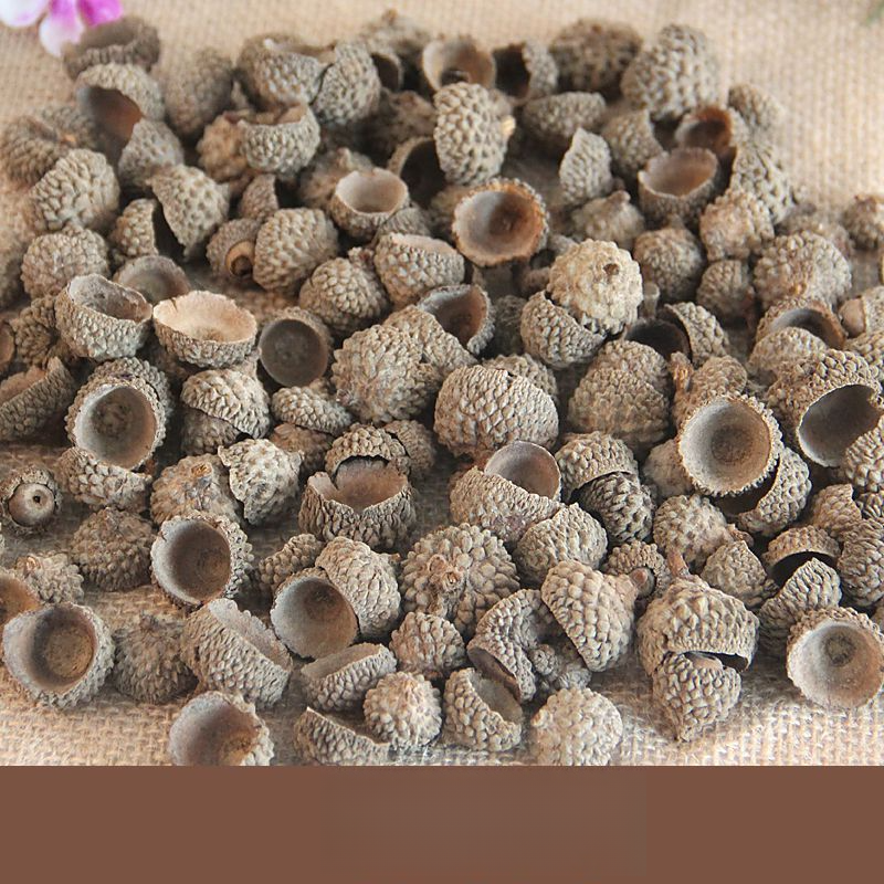 Decoration Pine Cone Acorn Flower Handmade DIY Forest Kindergarten Environmental Creation Dried Branches Wild Creative_voghion.com
