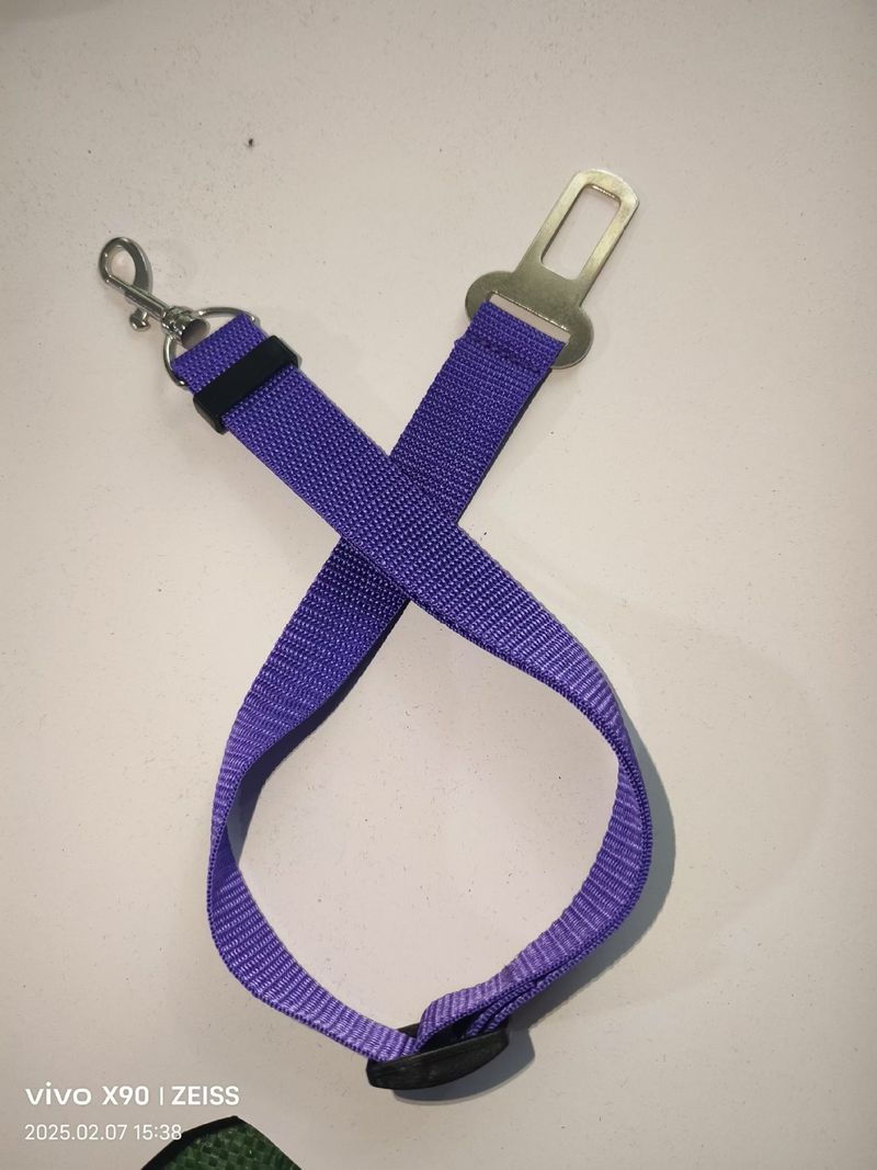 In-car Supplies Cat And Dog Safety Harness Fixed Leash Pet Collar Style_voghion.com