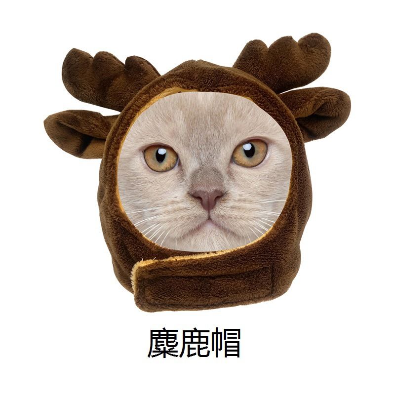 Pet Hat Cat Headgear Dog Headwear Kitten Cartoon Costume Accessories Teddy Christmas Halloween Apparel_voghion.com
