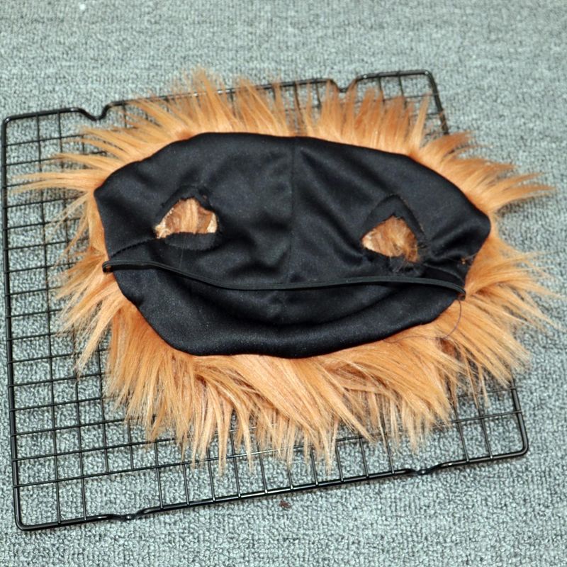 Deadly Doll Transformation Halloween Pet Costume Wig Medium And Large Dog Funny Clothes_voghion.com