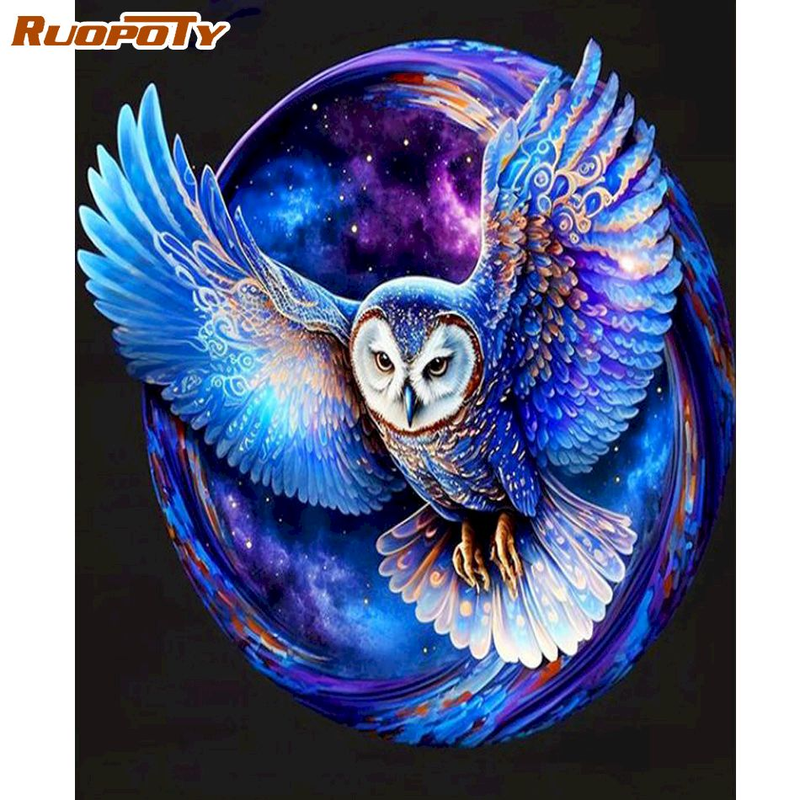 RUOPOTY 40 × 50 CENTIMETRI Dipingi con i Numeri Dipinti Decorativi Dipinti A Mano Spazio Gufo Animale Pittura Decor Regalo Unico_voghion.com