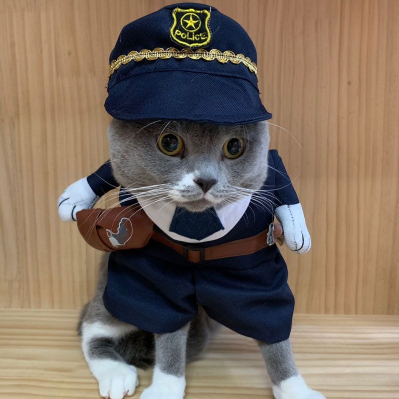 Spring And Autumn Pet Clothing Cute Funny Quirky Costume Hilarious Cat Dog Clothes Standing Transformation Outfit 3D_voghion.com