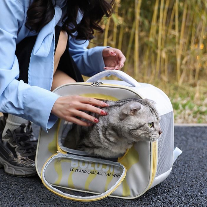 New Double Shoulder Large Capacity Breathable Handheld Cat Outdoor Portable Bag Pet Space Capsule_voghion.com