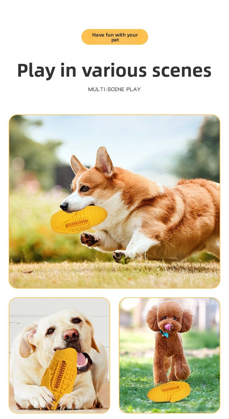 Jouet vocal pour chien, bâton molaire résistant aux morsures de maïs charnu, saveur bacon, jouet pour animaux de compagnie_voghion.com