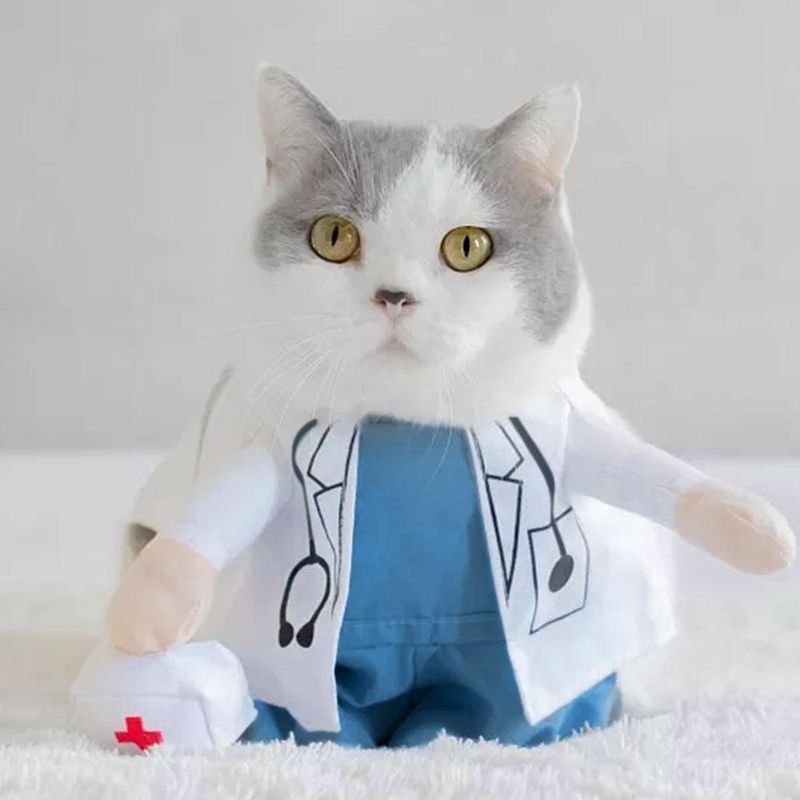 Costume da dottore divertente di Halloween in piedi, per trasformare un animale domestico, per cane o gatto, eccentrico e verticale_voghion.com