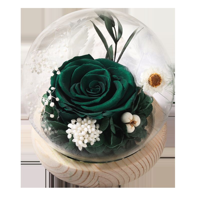 Cupola in vetro con rose stabilizzate - Rose vere di alta qualità + copertura in vetro spesso, luce LED con USB, regalo per San Valentino/Qixi/compleanno/matrimonio/laurea_voghion.com