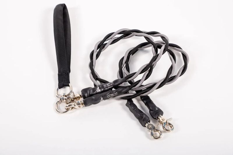 Neue Bungee Creative Doppelte Elastische Hundeleine_voghion.com