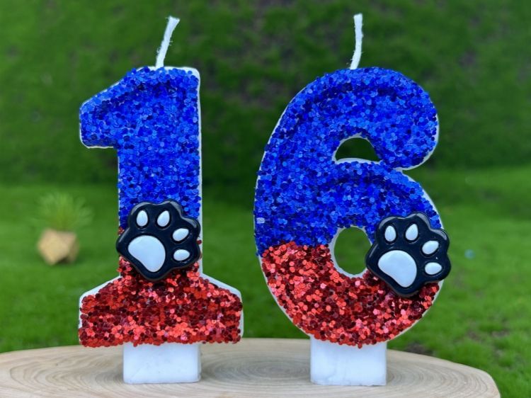 Cat Dog Bear Paw Digital Cake First Birthday Candle_voghion.com
