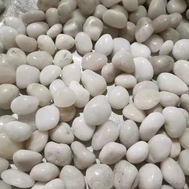 【 1376 persone elogiate 】 Ciottoli bianchi puri naturali lucidati cortile balcone giardino paesaggistica idroponica vaso di fiori_voghion.com