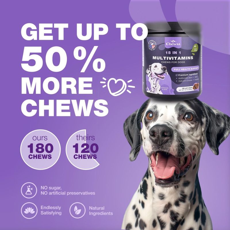Multivitamin Dog For Relief Multivitamin Skin Supplement 15 Itchy Joint In Hip Dog Chews 1 For MSM Dog For With Vitamins Health_voghion.com
