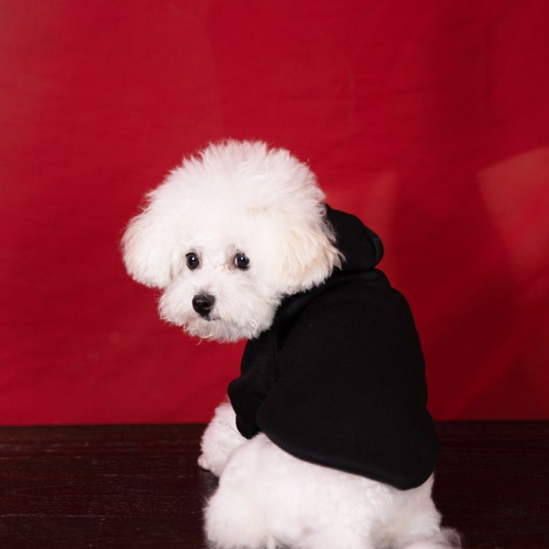 Haustier Herbst Winter Fleece Kleidung Große Hund Hoodie Einfarbig Golden Retriever Labrador Bekleidung_voghion.com