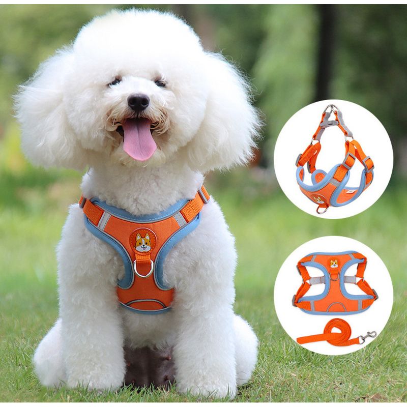 Colete Peitoral Refletivo para Cães e Gatos com Guia Respirável - Acessórios para Animais de Estimação_voghion.com