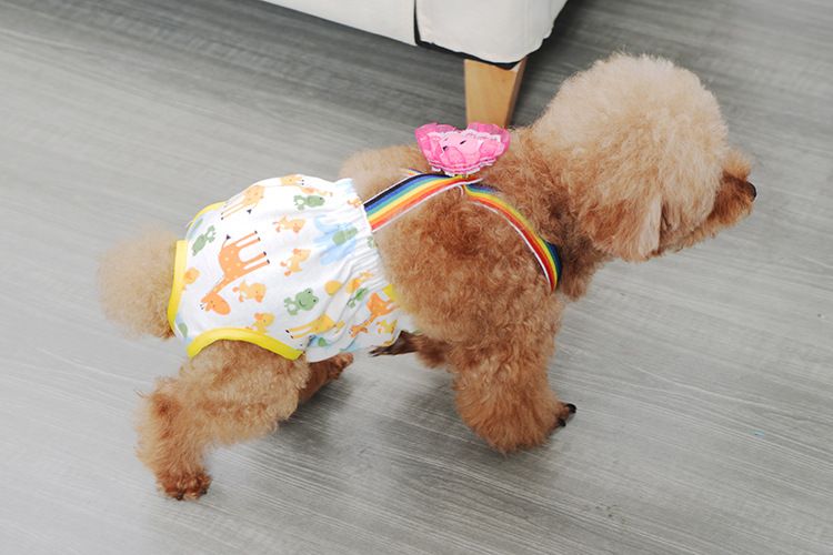 Teddy Bixiong Hygienehose Trägerhose Sicherheitshose Hündin Menstruationshose Anti-Belästigung Hose Haustierhose_voghion.com