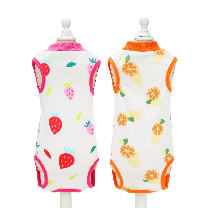 Neutering Postpartum Clothes Spring Summer New Cat Surgery Anti-Lick Weaning Suit_voghion.com