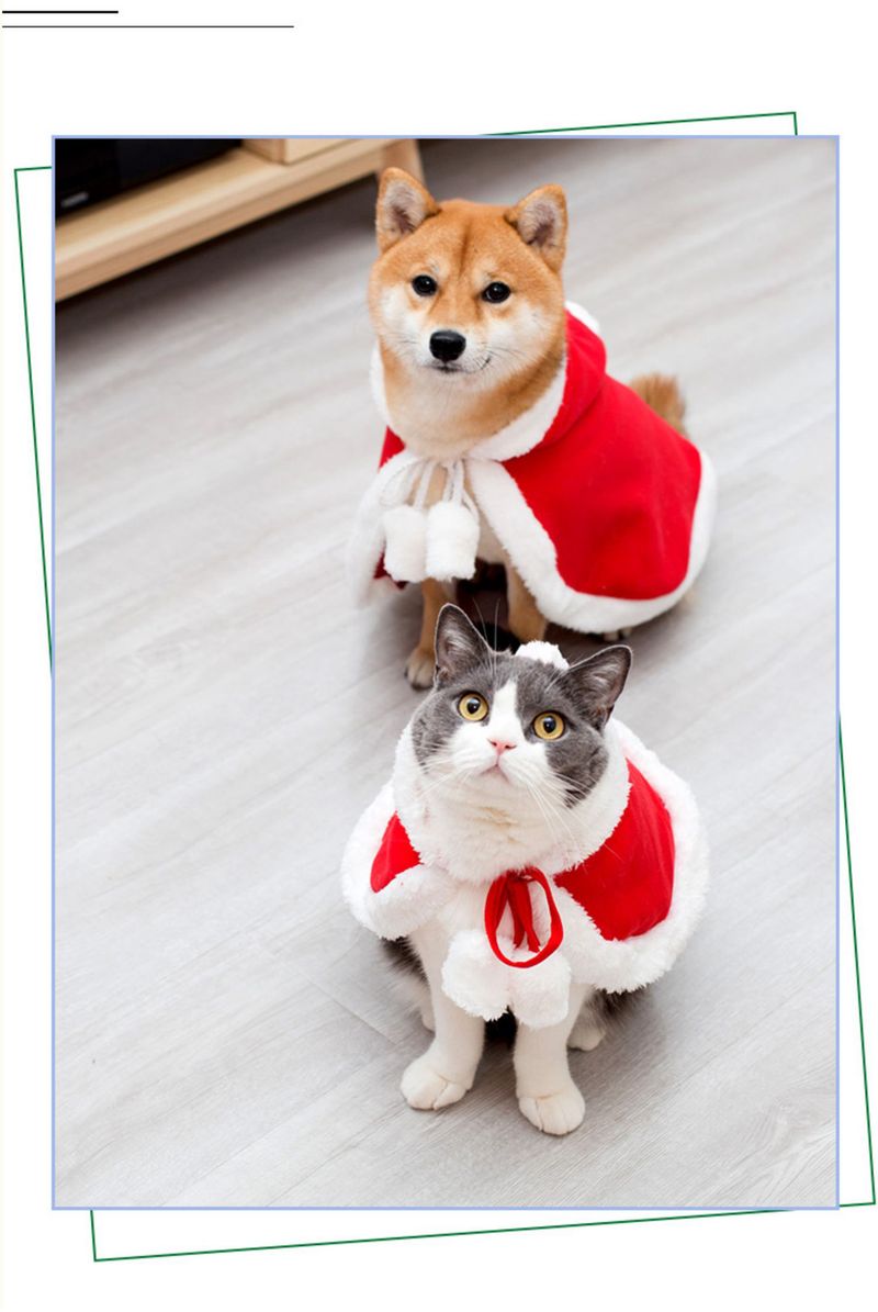 Cat Christmas Dress Little Red Riding Hood Cloak Cloak Pet baby cat Christmas New Year cloak puppy dog hat_voghion.com