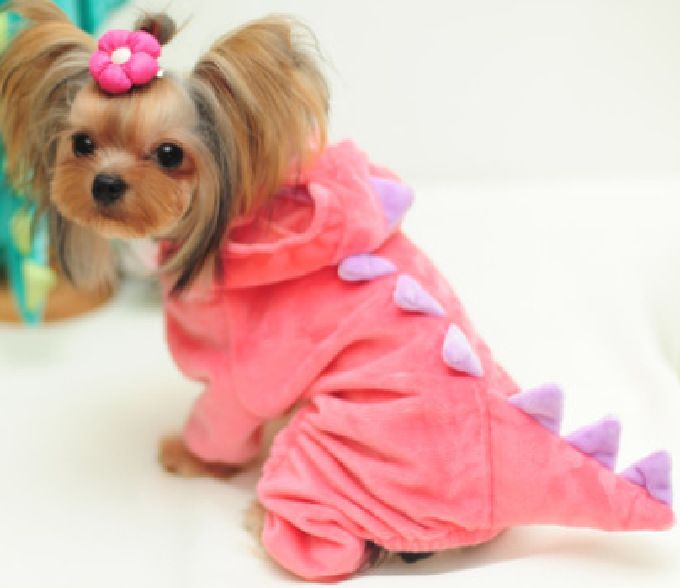 Costume da dinosauro elasticizzato per Halloween, in velluto di cristallo, casual, per cani di piccola e media taglia_voghion.com