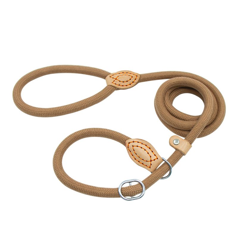 Guinzaglio per cani resistente con corda scorrevole, catena a P, trazione regolabile, cintura da addestramento adatta per cani di taglia media e grande_voghion.com