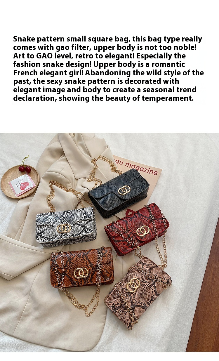 Borsa quadrata piccola con motivo serpente 2024 Nuova mini borsa per telefono europea e americana con tracolla a catena Borsa a tracolla_voghion.com
