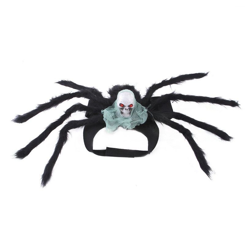 Costume da imbracatura per animali domestici a forma di ragno, per Halloween, per cani e gatti di piccola taglia, per la trasformazione del teschio_voghion.com