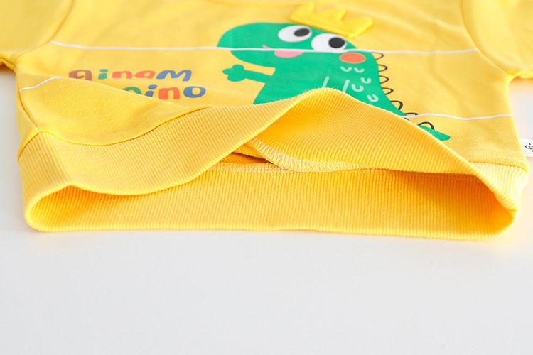 Bambino Autunno 2024 Nuovo Ragazzi Cartone Animato Manica Lunga Due Pezzi Bambini Elegante Ragazze Set Felpa Con Cappuccio_voghion.com