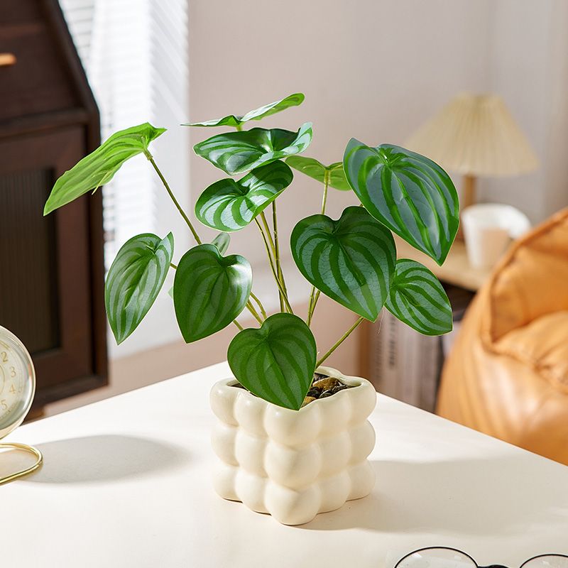 Ceramiczna doniczka 15 cm - doniczka na sukulenty do wnętrz, nowoczesna, z otworem drenażowym, w stylu terakoty_voghion.com