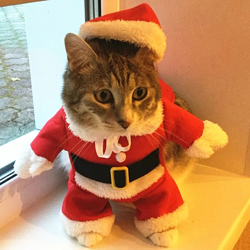 Julekostumer Sjove julemandstøj til små katte Hunde Xmas Nytår Kæledyr Katttøj Vinter Kitty Killing_voghion.com