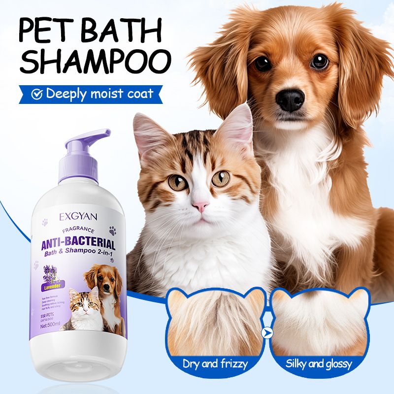 Shampoo da bagno alla lavanda per animali domestici Full English Pet 2 in 1 EXGYAN Bagnoschiuma per cani e gatti_voghion.com