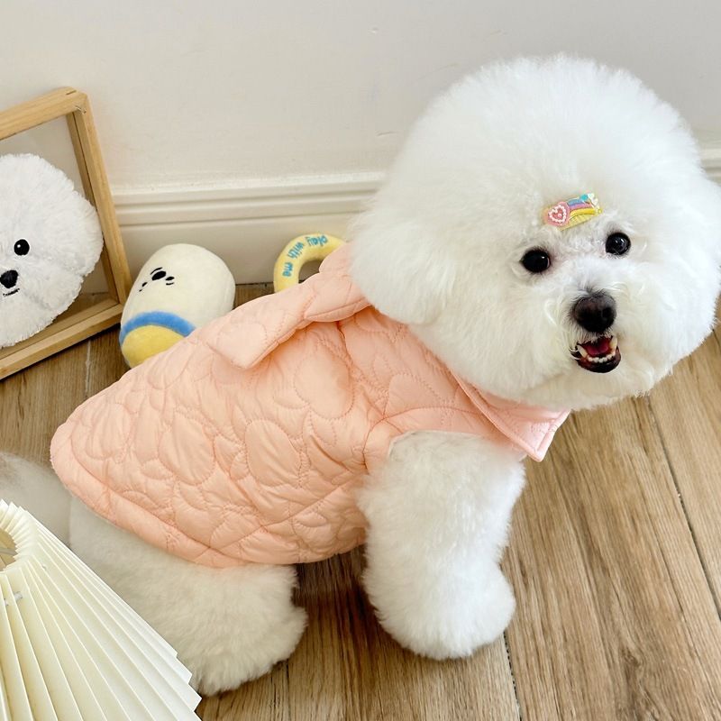 Nuovo gilet invernale caldo foderato in pile per cani di piccola taglia, con attacco per guinzaglio. Per Teddy, Bichon, Barboncini_voghion.com