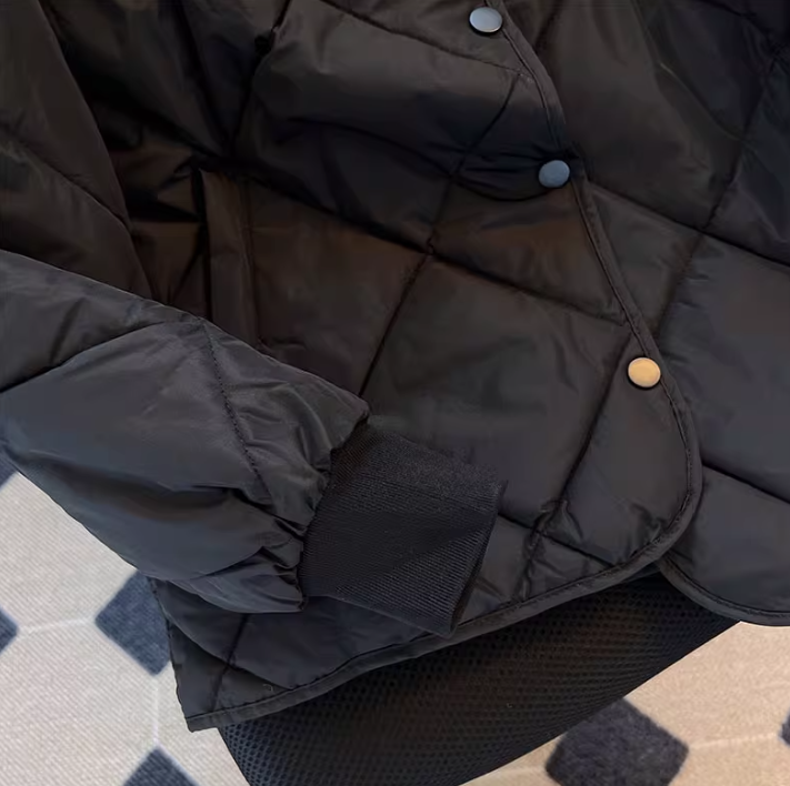 Cropped Quilted Puffer Vest – Korean Oversized Winter Coat (Lightweight, 4 Sizes, Petite-Friendly)_voghion.com