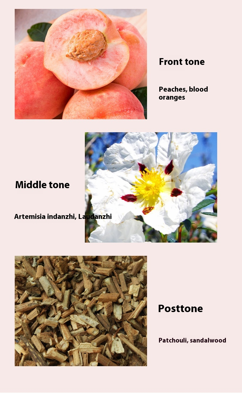 Neues Parfüm-Geschenkset für Damen, frischer und anhaltender Duft, Duft, Duft, Damenparfüm_voghion.com