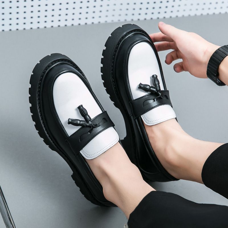 2025 Spring/Summer New Casual Men's Thick Heel Slip-On Large Size Loafers Fashion Versatile Comfortable Simple Leather_voghion.com