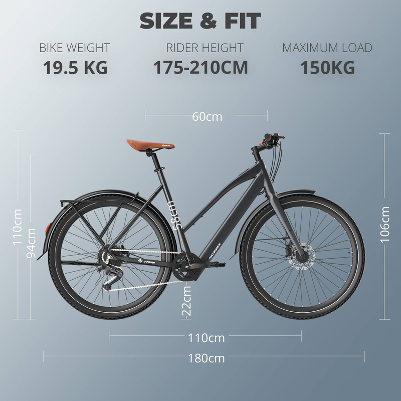 Fafrees F700W Electric Bike, 250W Motor, 36V 10Ah Battery, 9-speed_voghion.com