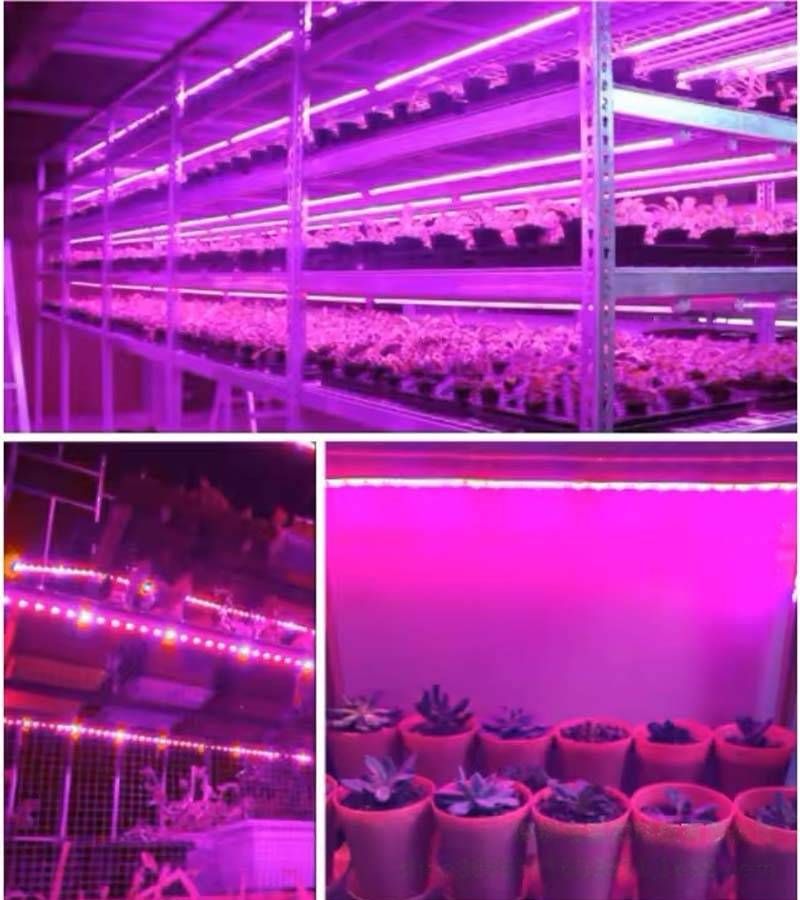 Striscia luminosa a LED USB da 5 V per piante da interno, idroponica e serre, chip 2835, 30 LED/metro, spettro viola_voghion.com