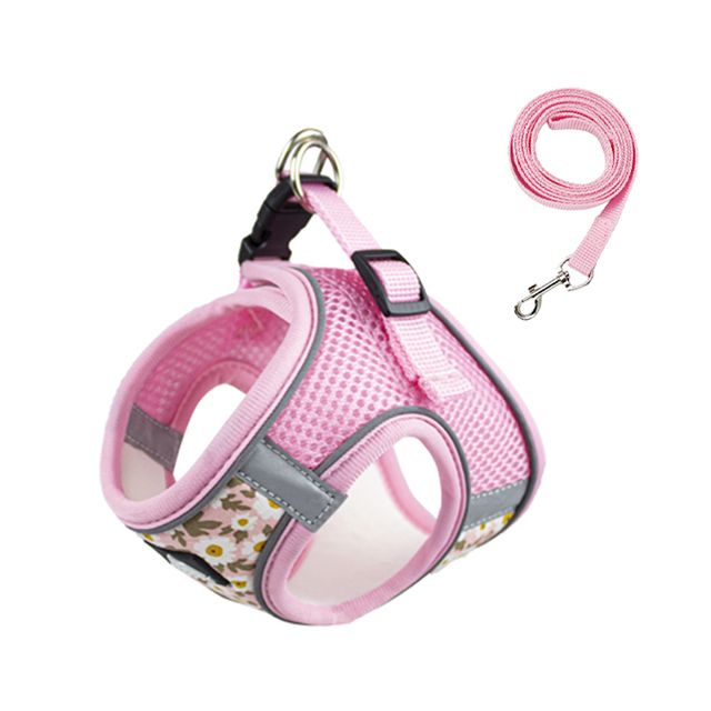 CDDMPET Bloemenprint Lijn en Tuigje voor Kleine Honden van PawParty Store_voghion.com