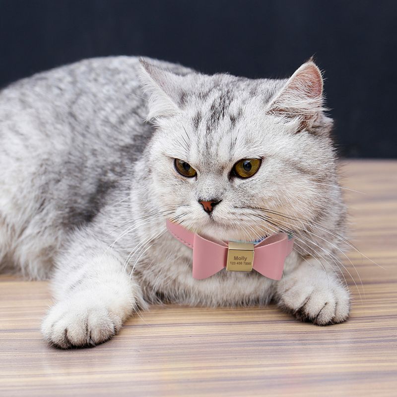 Coleira personalizada para cães e gatos, ajustável, de cristal, anti-perda, de couro, para filhotes e gatos, com gravata borboleta e acessórios de strass_voghion.com