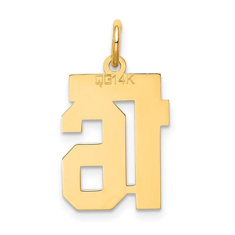14k Small Satin Number 16 Charm_voghion.com