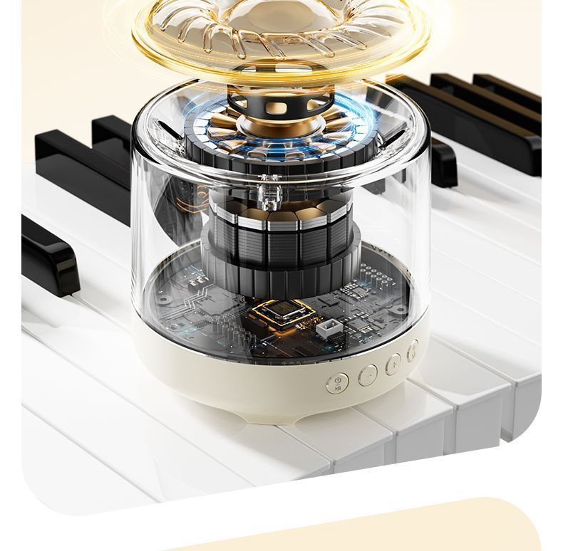 【 16 000 ihmisen kokoelma 】 Langaton Bluetooth-kaiutin mikrofonilla, kannettava arvokasta laulua varten_voghion.com