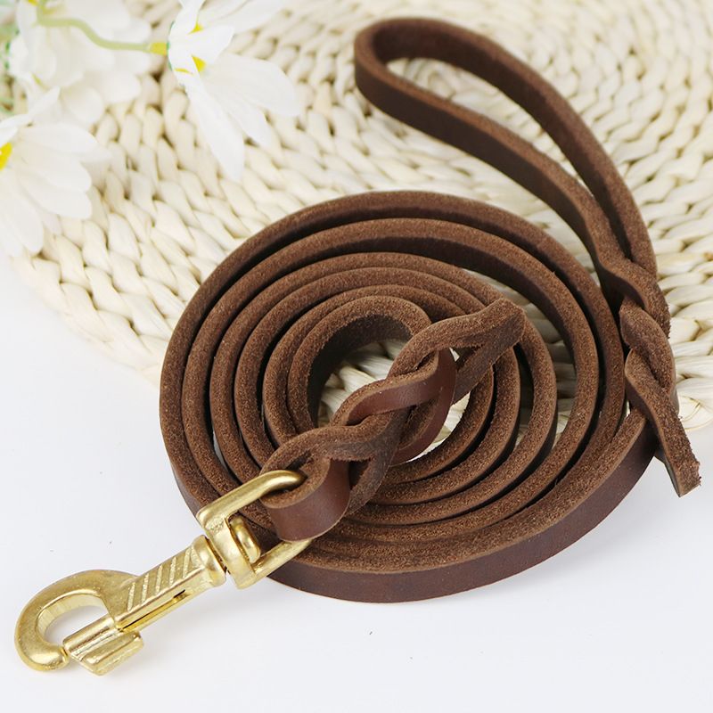 Kupferhaken-Haustier für mittelgroße und große Hunde, Golden Retriever-Hundeleine aus weichem Leder_voghion.com