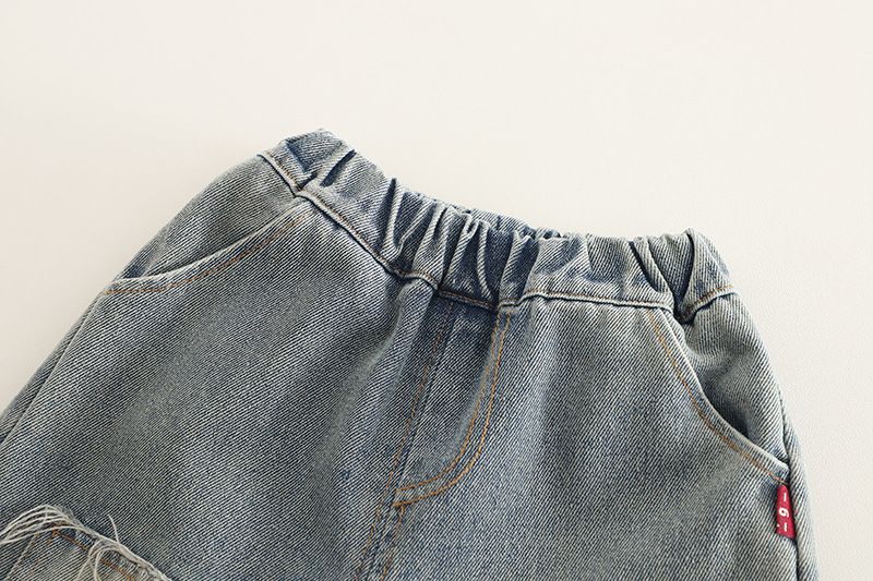 Abbigliamento per bambini primavera e autunno 2025, edizione coreana, camicia per cani, felpa con cappuccio, manica lunga, due pezzi, stile western_voghion.com