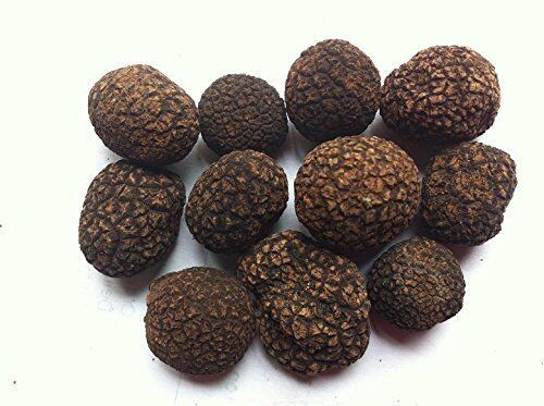 1 libra (454 gramos) de famosa trufa negra del Himalaya entera deshidratada en frasco_voghion.com