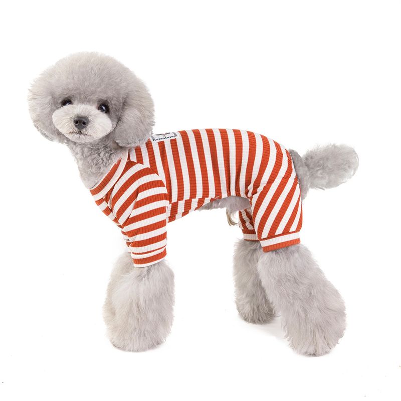 20 nye modeller kat bamse hund kæledyrstøj forår/sommer trendy firbenet hjemmetøj_voghion.com