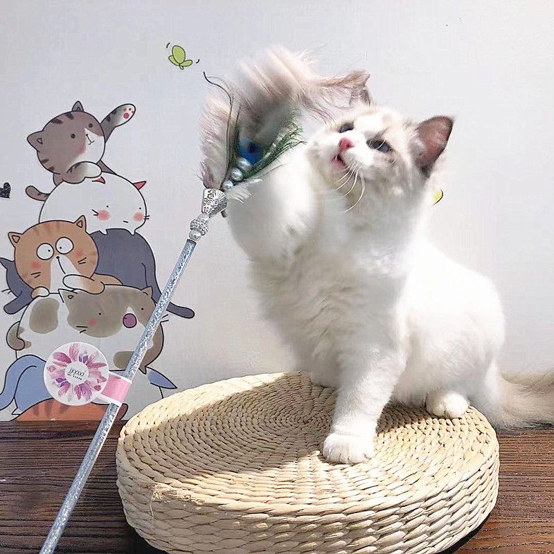 New Wand Ostrich + Peacock Feather Teasing Cat Toy Interactive With Bell Pet Supplies_voghion.com