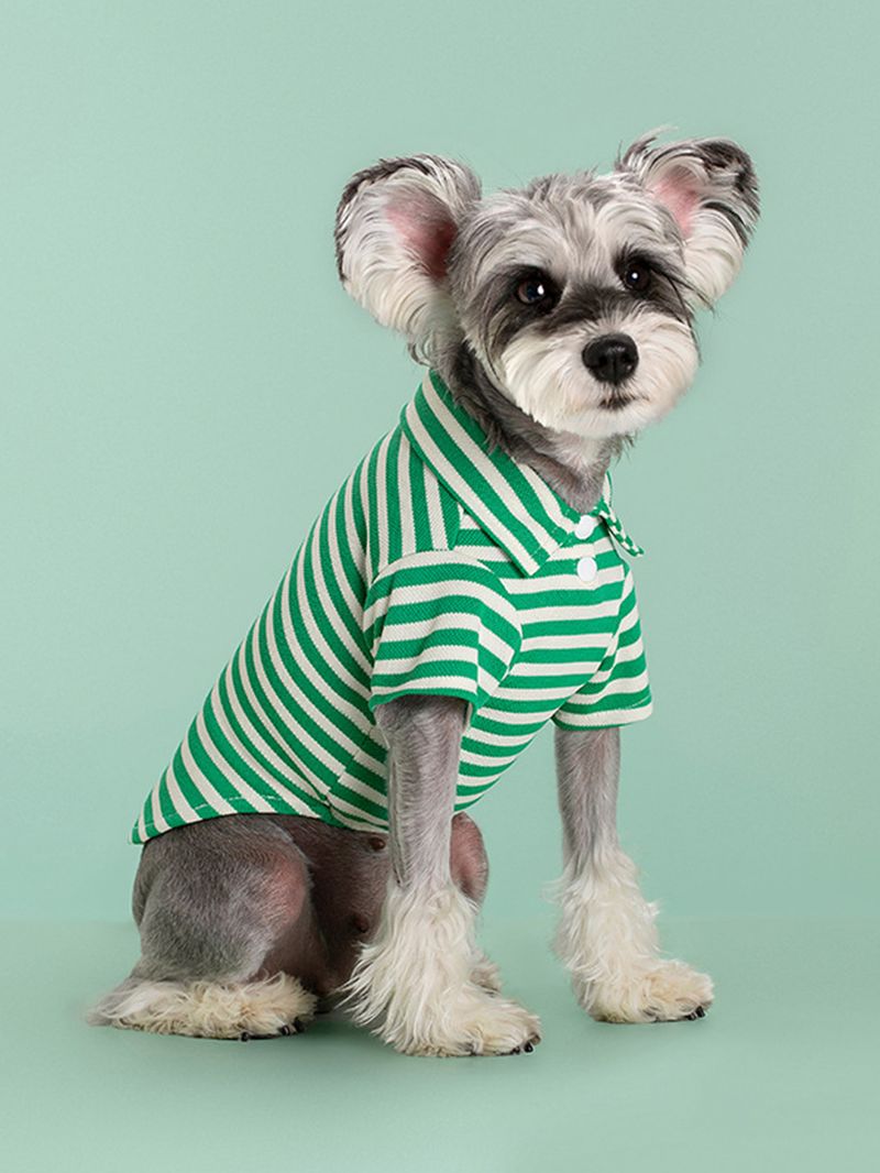 Dog Clothes New Summer Striped Two Legged Teddy Bichon Pomeranian French Bulldog Cat Clothes Thin Pet Clothes_voghion.com