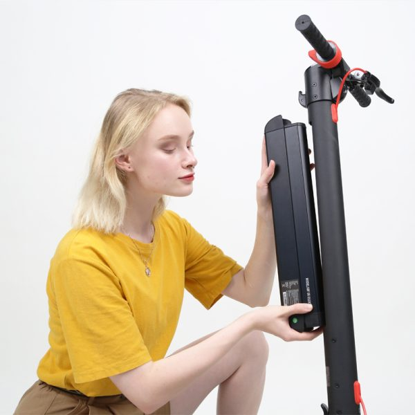 KIXIN X8 Elektroroller für Erwachsene, 350-W-Motor, 10-Zoll-Luftreifen, abnehmbarer 36-V-10,4-Ah-Akku_voghion.com