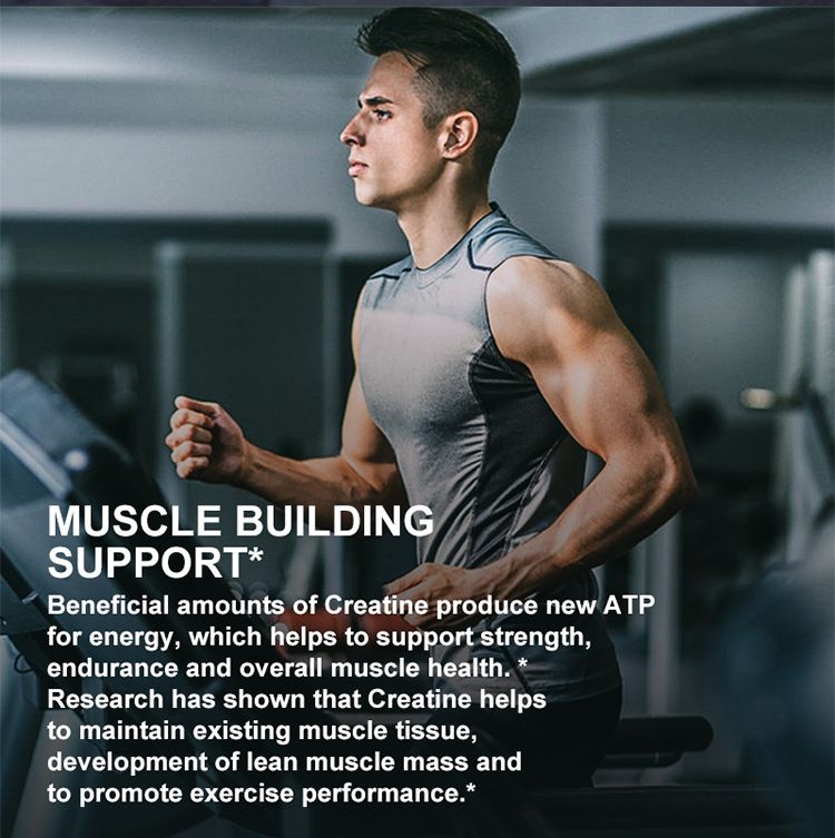 Cross-Border Gummies Daynee Weight Gain Creatine Gummy Candy_voghion.com