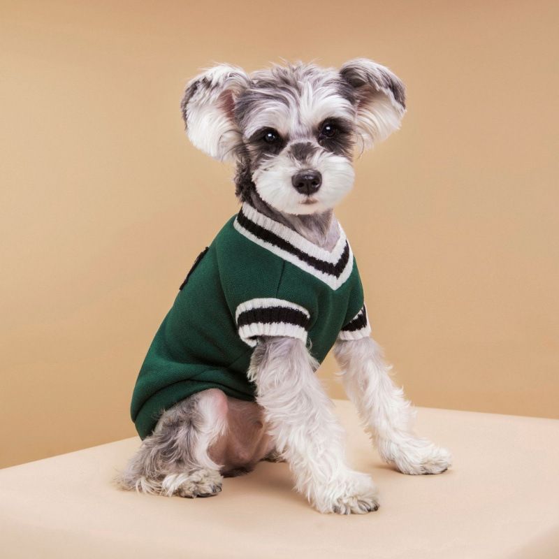 Clothes Campus Style Vest Badge Handsome Small Medium Large Cat Dog Knitted Cotton Couple Sweater_voghion.com