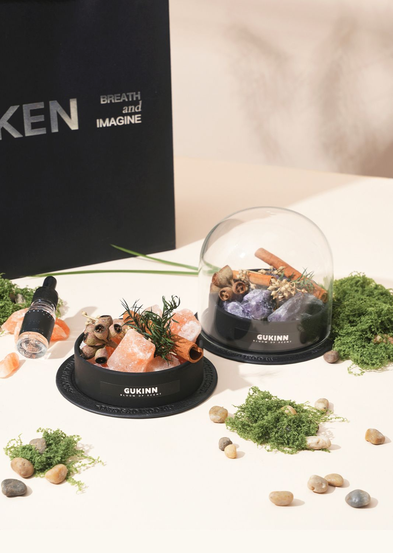 GUKEN Wilderness Secret Realm Aromatherapie-Set, Diffusor, Stein, Nischenduft, Ornament, High-End-Geburtstagsgeschenk für Frauen_voghion.com