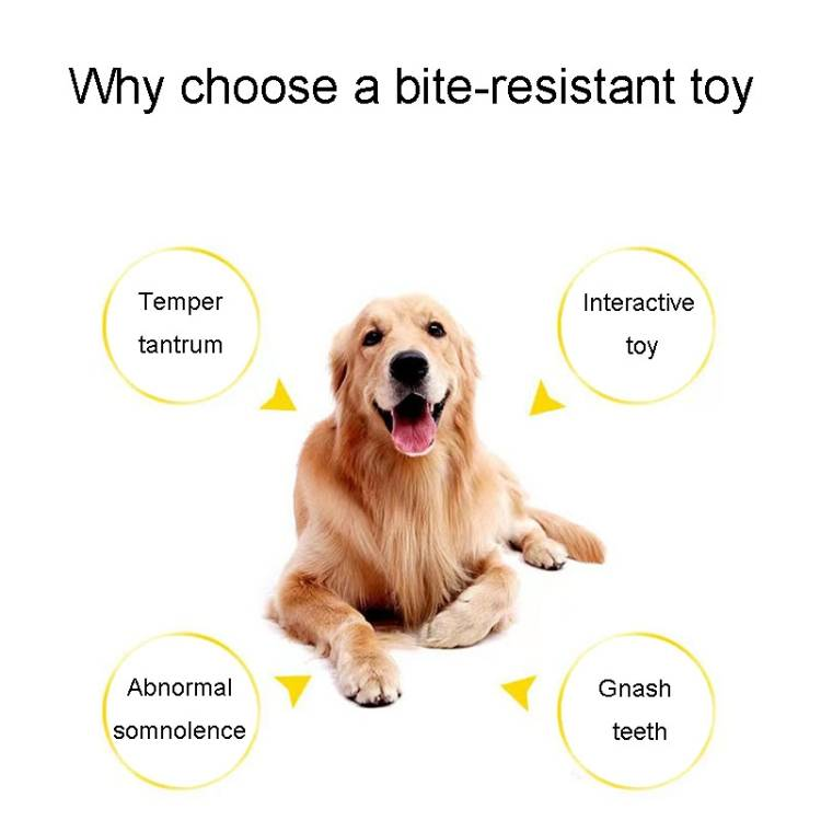 Dog Teething Toy Knot For Pet Bite Resistant Teeth Cleaning_voghion.com