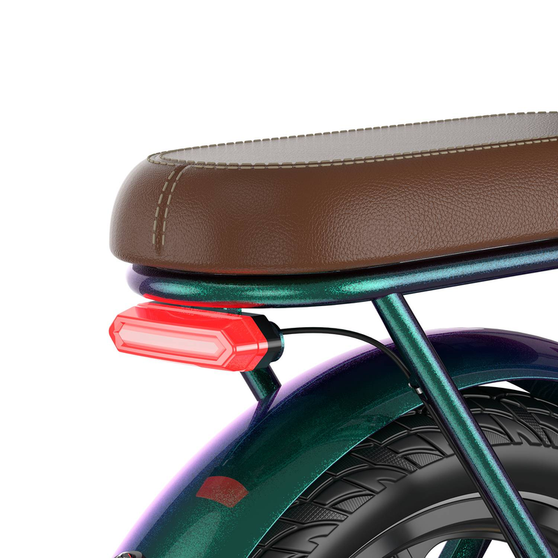 Bicicletta elettrica pieghevole Fafrees F20+ Pro, motore da 250 W, batteria da 36 V 22,5 Ah, pneumatici da 20 x 3,0 pollici_voghion.com